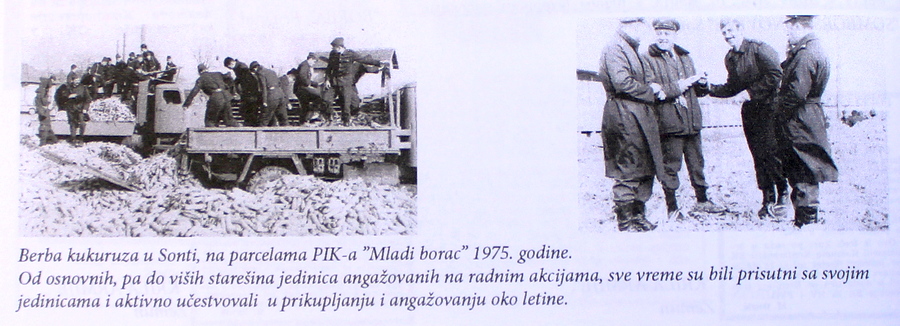 slike i tekst o pomoći vojske poljoprivrednicima iz Sonte